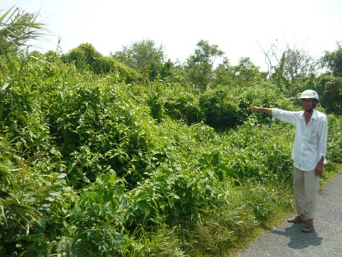 Khổ vì khu công nghiệp “trùm mền”